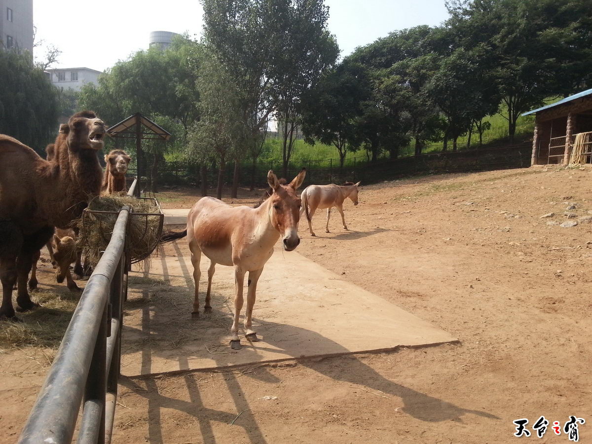 20140815_091520_调整大小.jpg