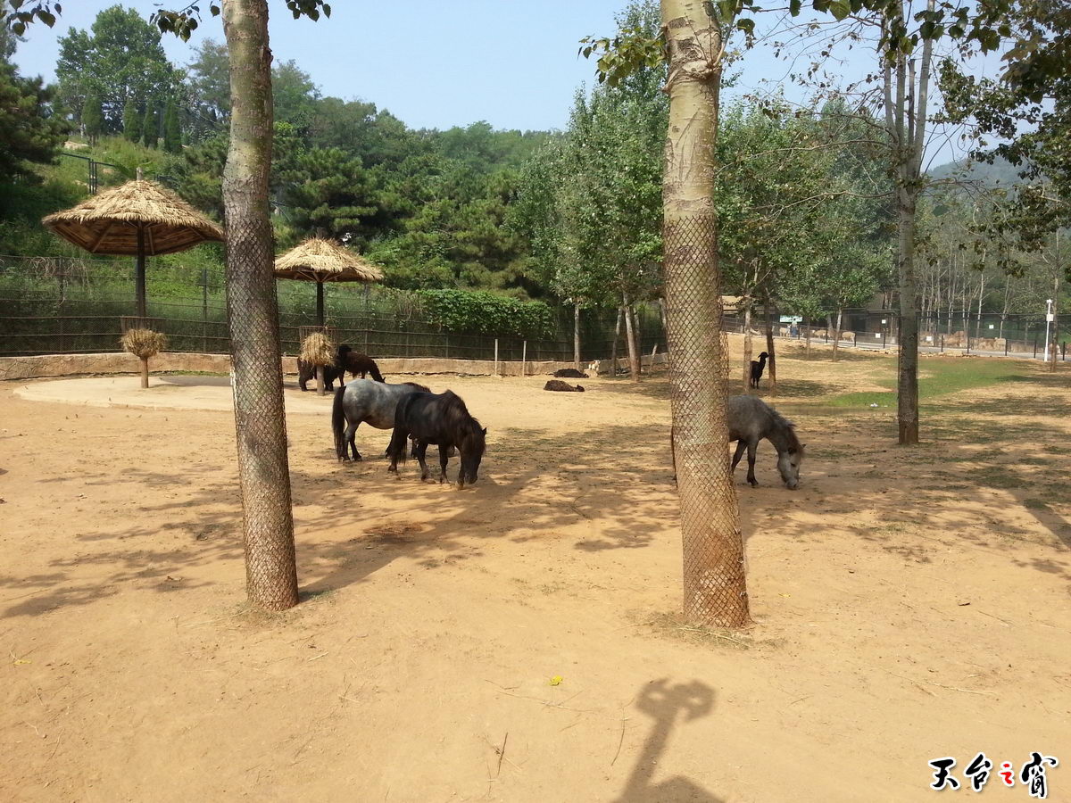 20140815_091654(1)_调整大小.jpg