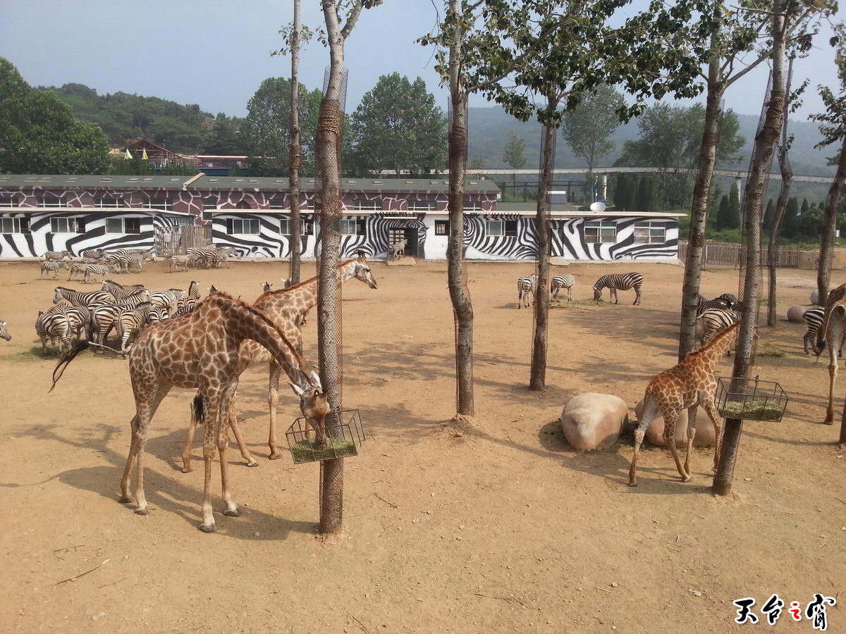 20140815_092528_调整大小.jpg