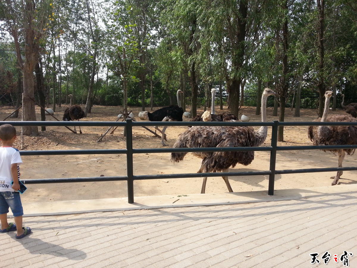 20140815_092925_调整大小.jpg