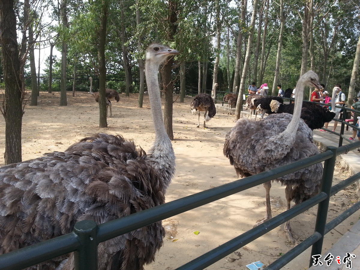 20140815_093005_调整大小.jpg