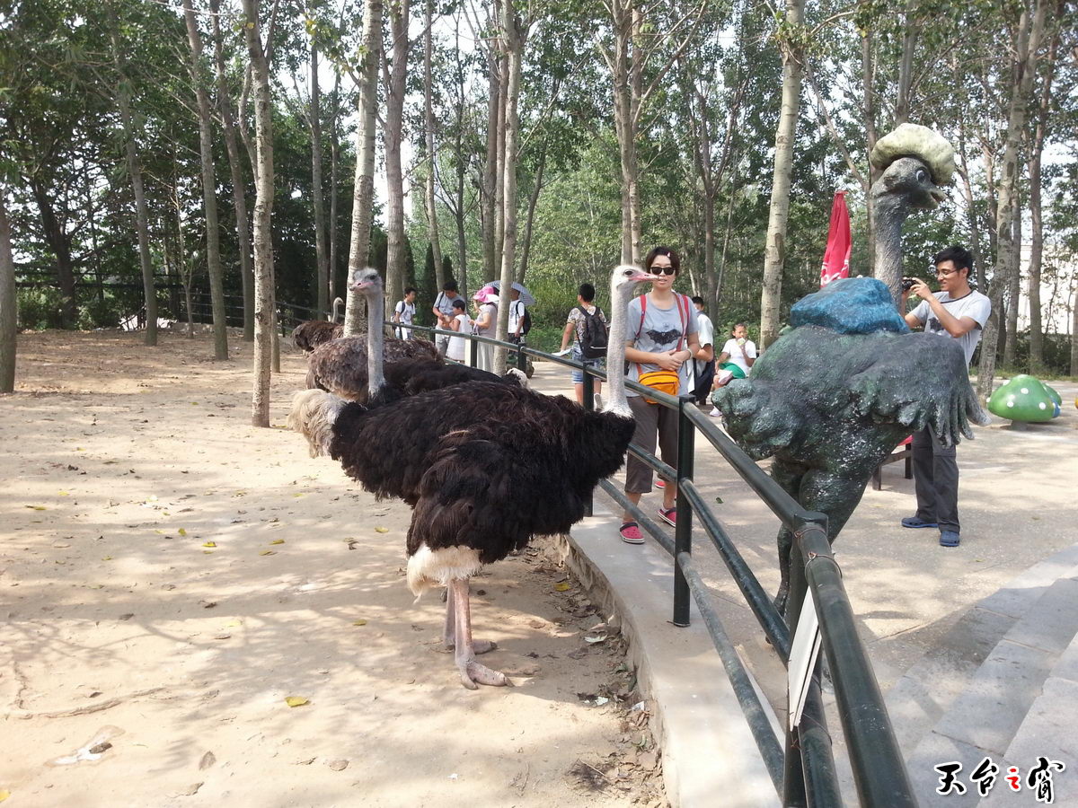 20140815_093028_调整大小.jpg