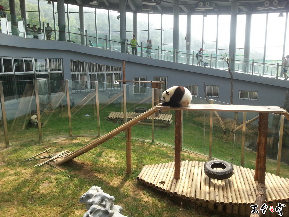 20140815_094507_调整大小.jpg