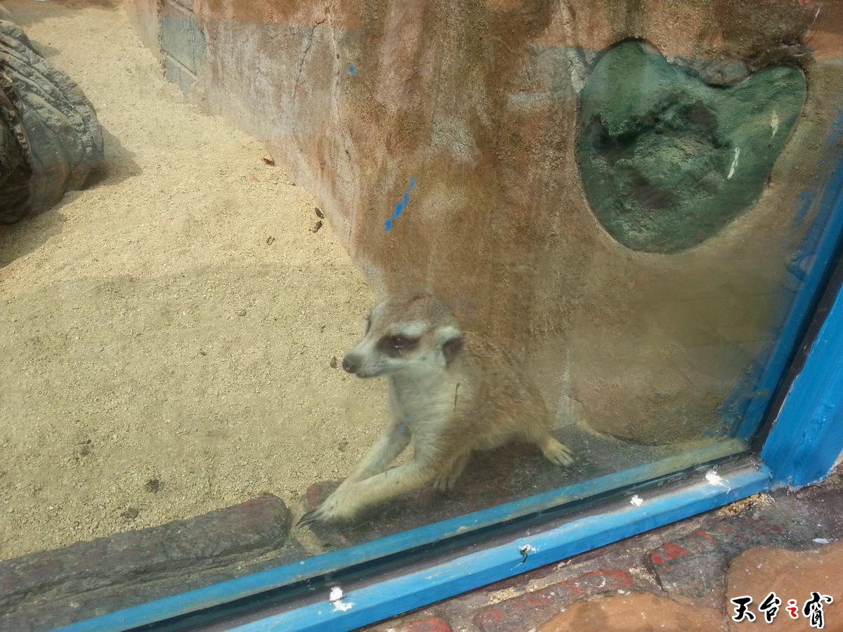 20140815_095933_调整大小.jpg