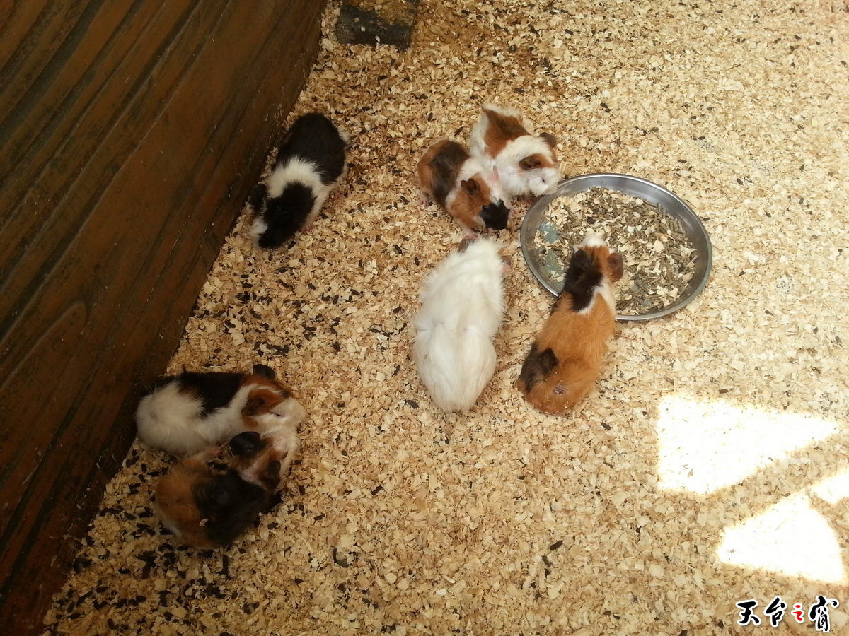 20140815_100142_调整大小.jpg