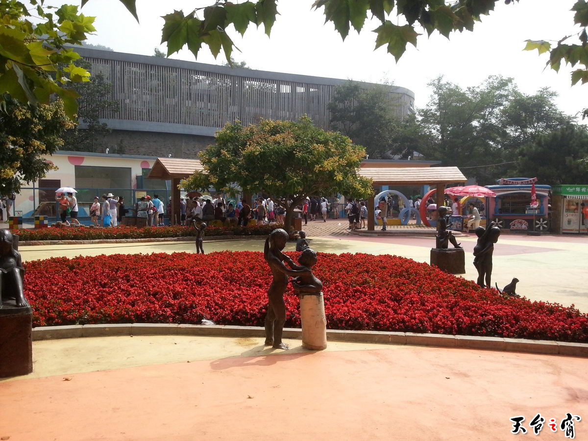 20140815_100415_调整大小.jpg