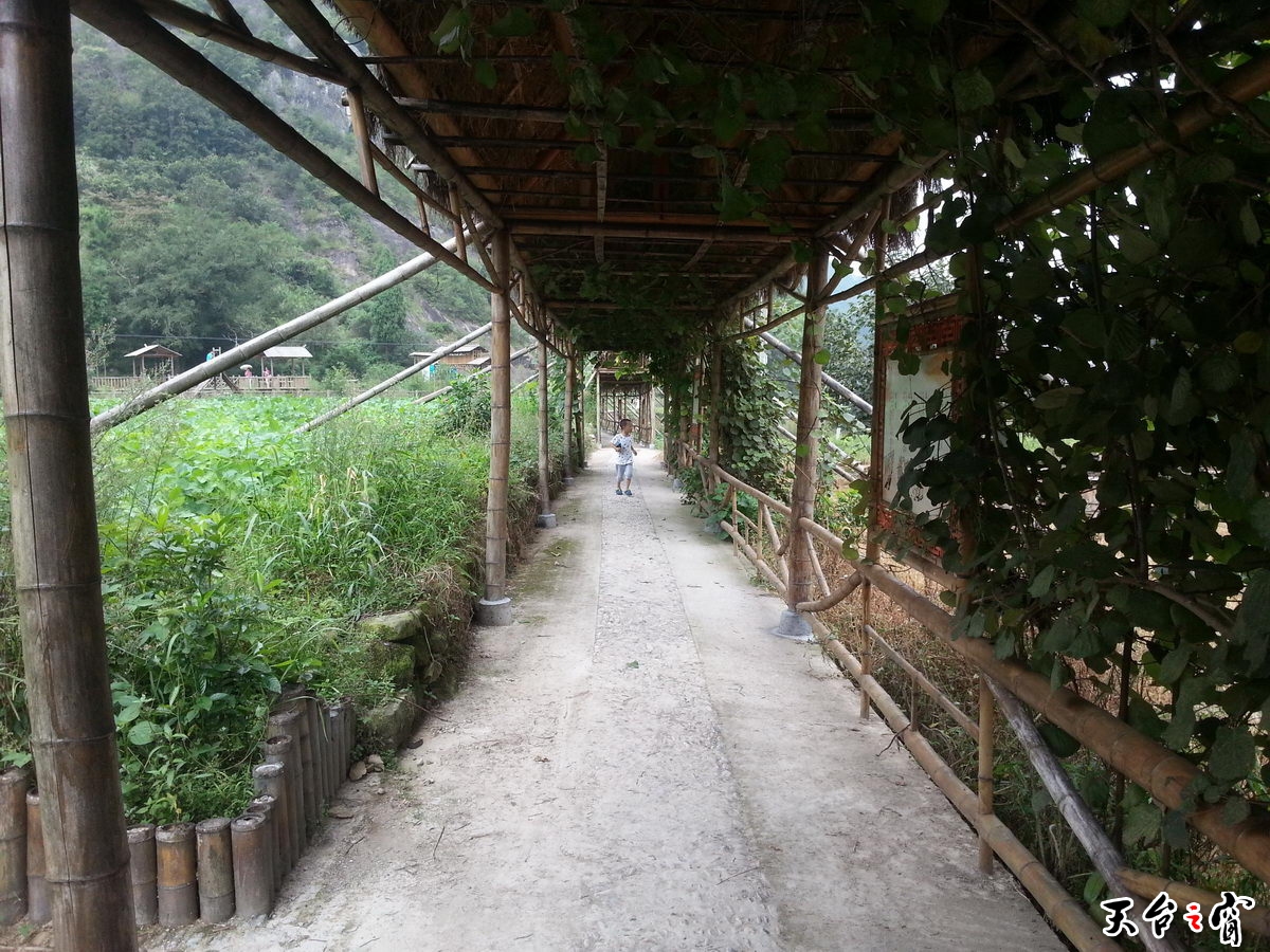 20140908_104459_调整大小.jpg