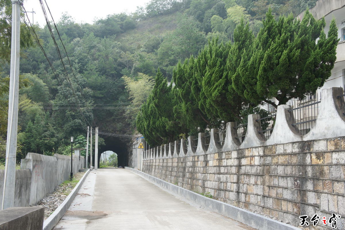 DSC01674_调整大小.JPG