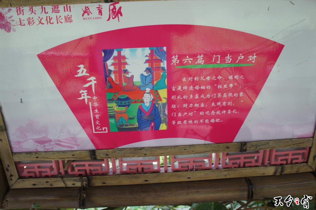 DSC01665_调整大小.jpg