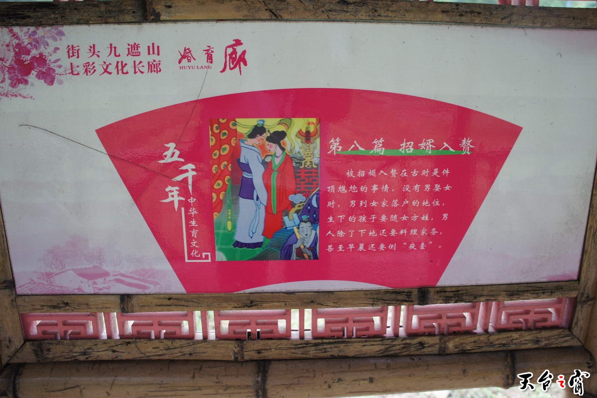 DSC01667_调整大小.jpg
