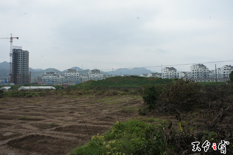 DSC01880_调整大小.JPG