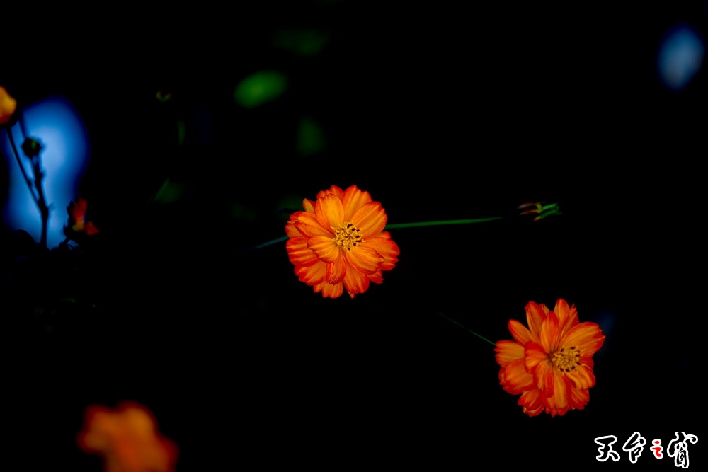 125A8252_调整大小.jpg