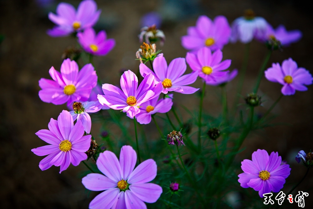 125A8264_调整大小.jpg