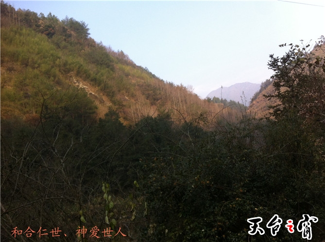 IMG_3669_副本.jpg