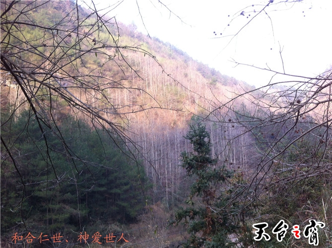 IMG_3670_副本.jpg