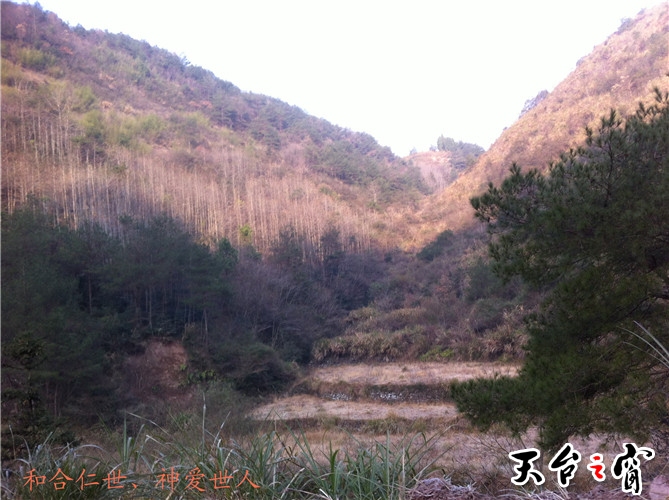 IMG_3672_副本.jpg