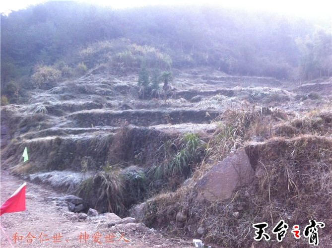 IMG_3684_副本.jpg