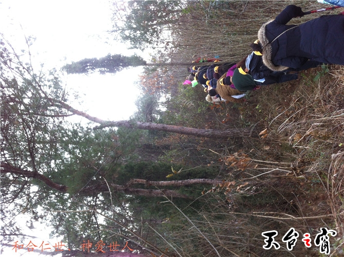 IMG_3705_副本.jpg