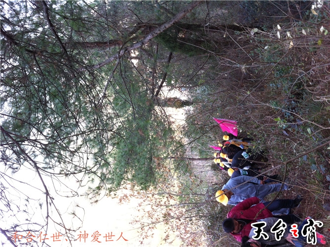IMG_3706_副本.jpg