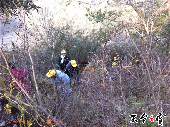 IMG_3710_副本.jpg