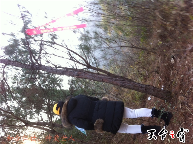 IMG_3711_副本.jpg