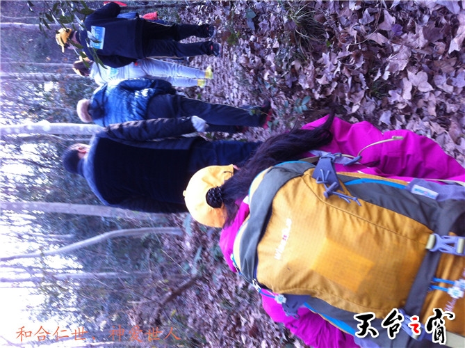 IMG_3718_副本.jpg