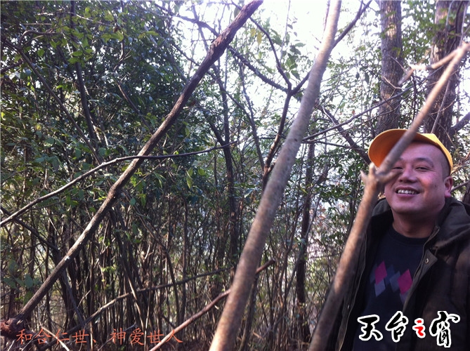 IMG_3733_副本.jpg
