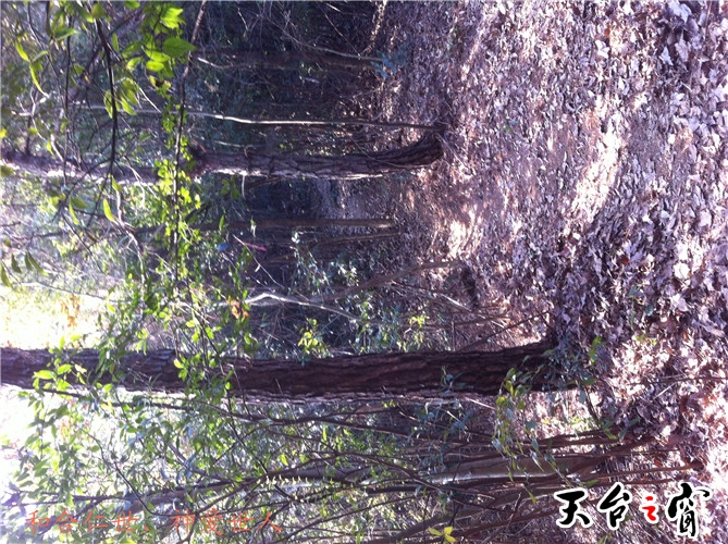 IMG_3748_副本.jpg