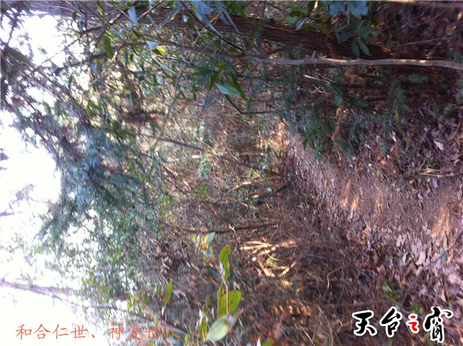 IMG_3750_副本.jpg