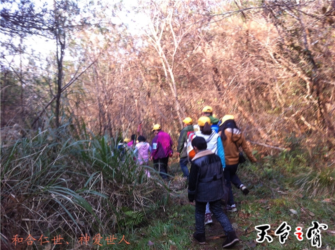 IMG_3753_副本.jpg