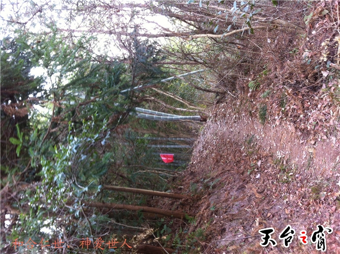 IMG_3754_副本.jpg