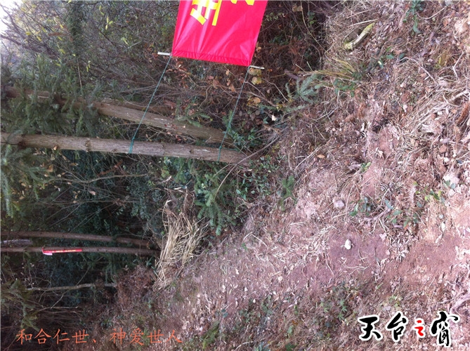 IMG_3756_副本.jpg