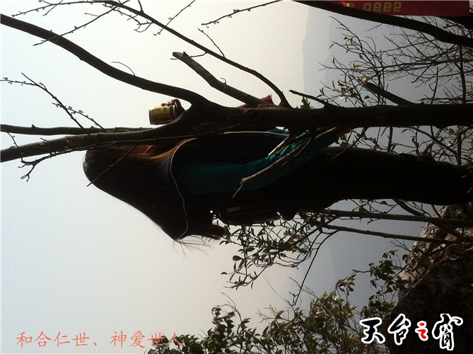 IMG_3736_副本.jpg