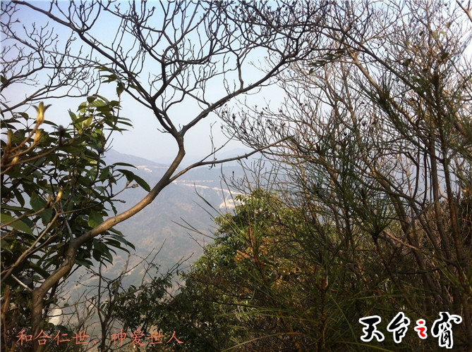 IMG_3745_副本.jpg