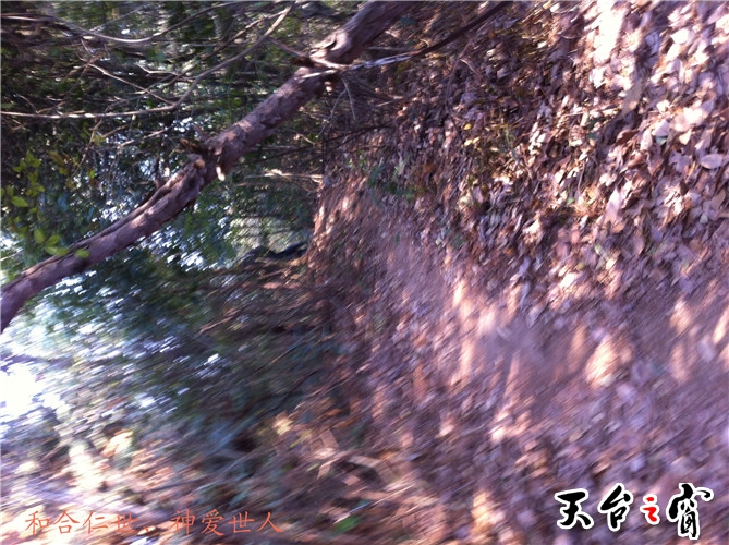 IMG_3746_副本.jpg