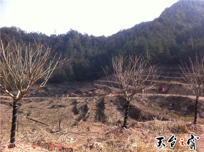 IMG_3765_副本.jpg