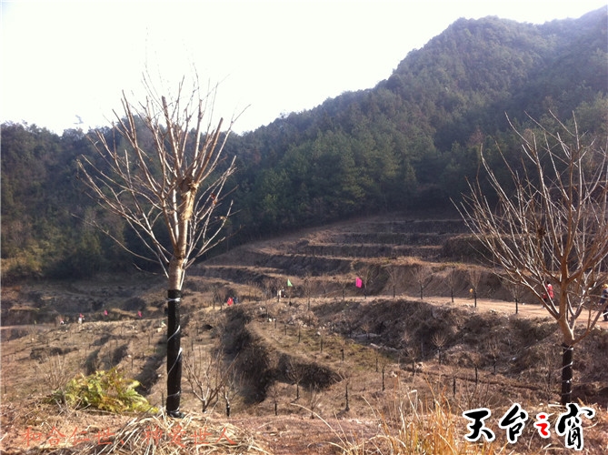IMG_3766_副本.jpg