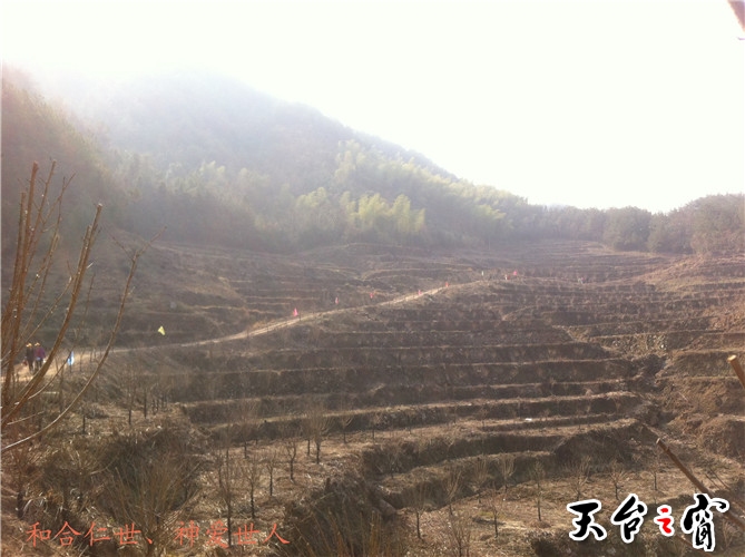 IMG_3767_副本.jpg