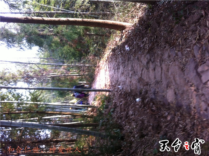 IMG_3769_副本.jpg