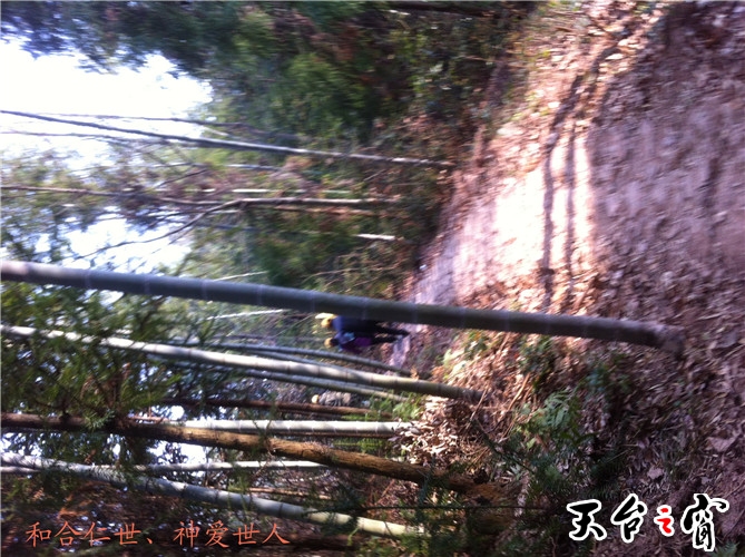 IMG_3770_副本.jpg