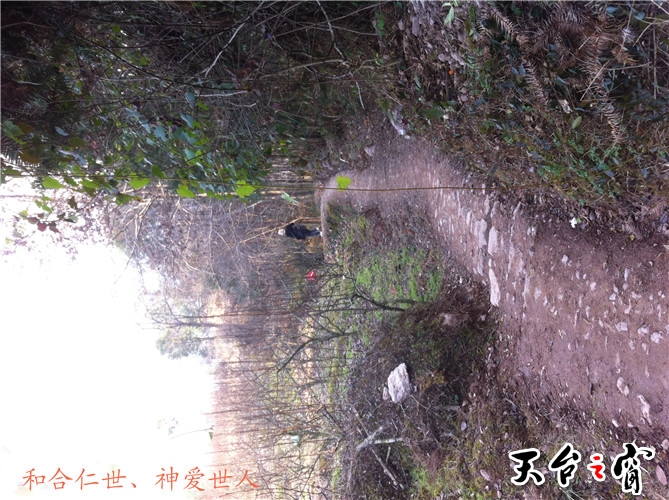 IMG_3772_副本.jpg