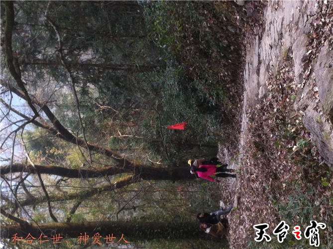 IMG_3776_副本.jpg