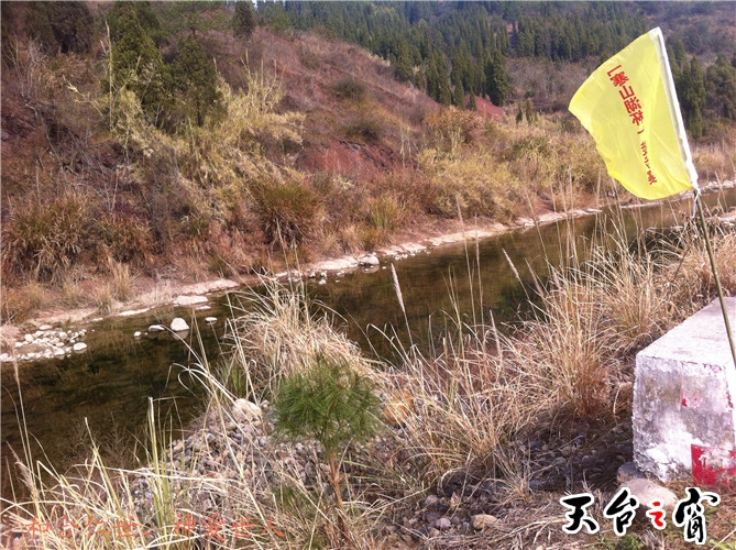 IMG_3798_副本.jpg