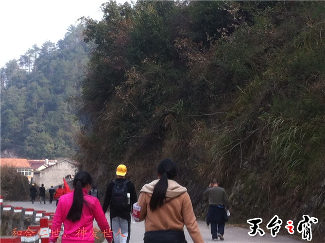 IMG_3781_副本.jpg