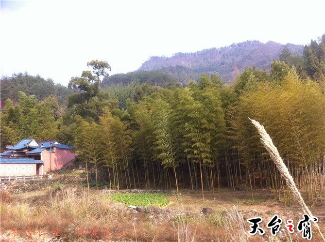 IMG_3805_副本.jpg