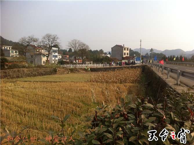 IMG_3806_副本.jpg