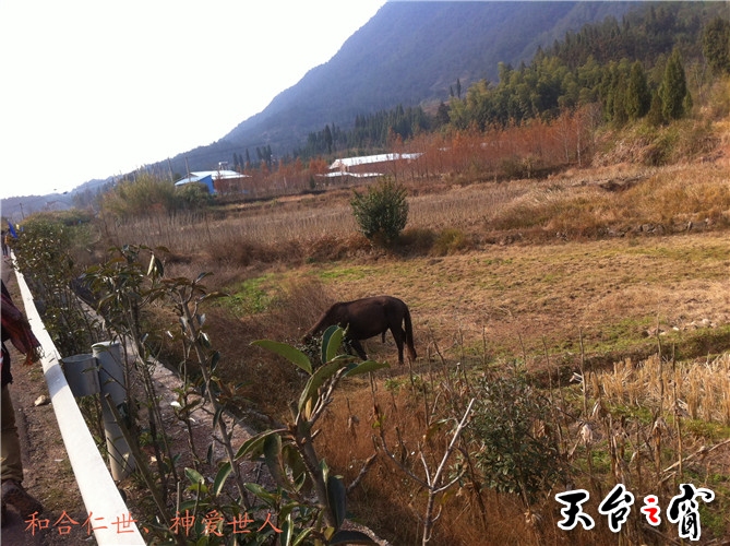 IMG_3828_副本.jpg