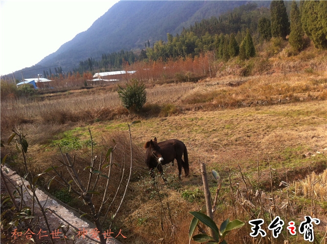 IMG_3829_副本.jpg