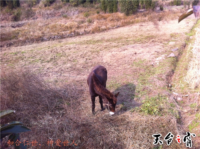 IMG_3830_副本.jpg