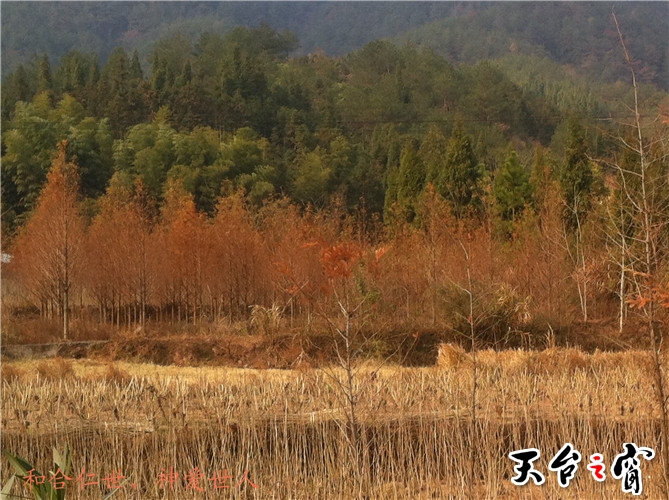 IMG_3831_副本.jpg